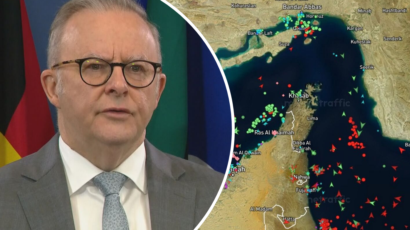 Albanese reveals how Australia could help secure Strait of Hormuz