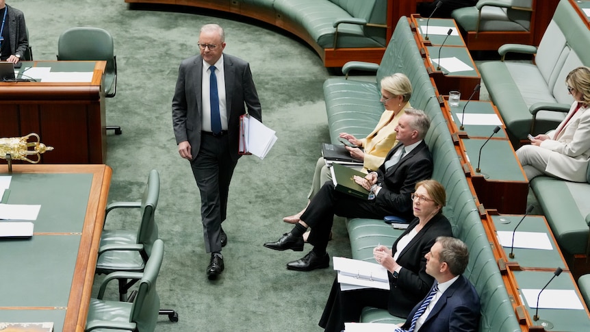 Albanese to outline case for urgent reform amid global uncertainty