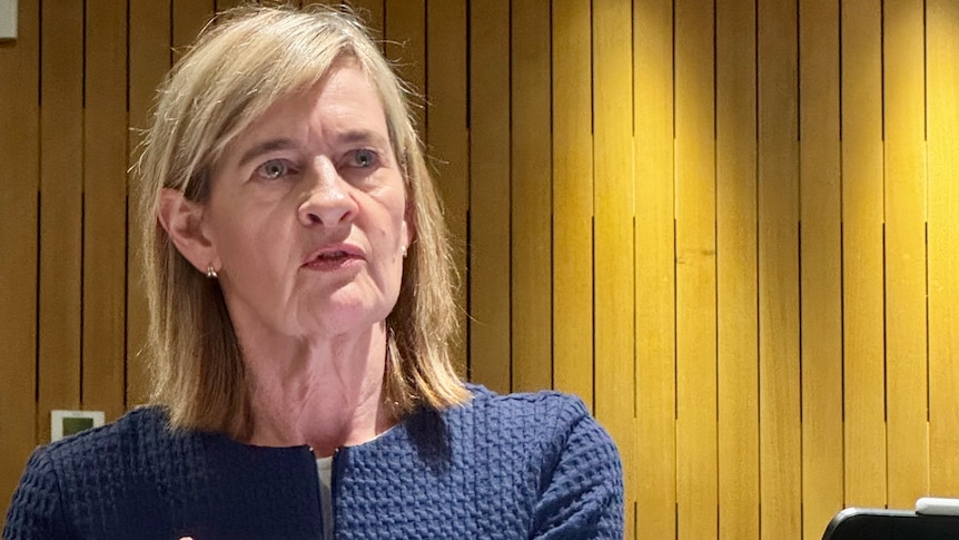 ASIC says 'we don’t know' in face of big four audit misconduct complaints