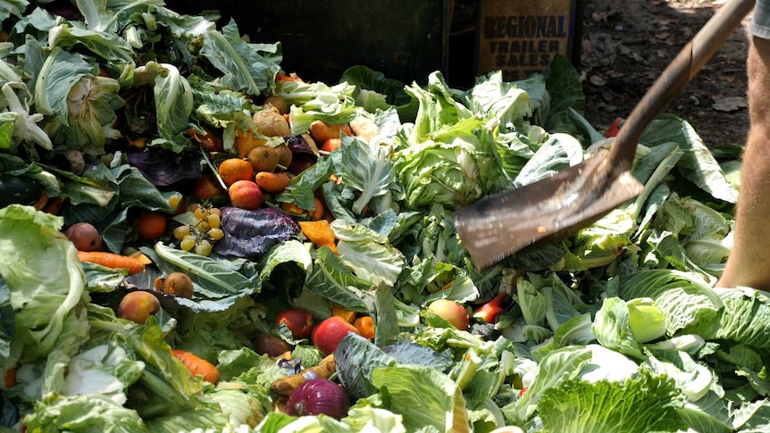 Canberra food and garden waste collection scheme delayed a third time
