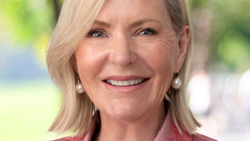 Colleen Harkin quits Liberal party after praising One Nation