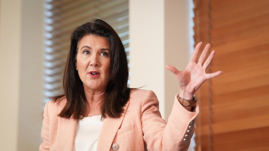 'Didn't have the balls': Hume takes shot at Labor after shocking Coalition loss