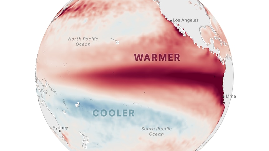El Niño's dark, red tongue spreads across Pacific at extraordinary pace