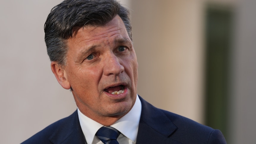 'Eternity of pain': Angus Taylor issues warning to Australians voting for One Nation