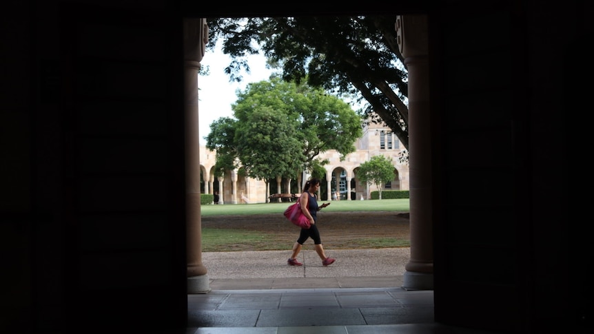 'Feels like we've been scammed': Graduates unhappy with uni degrees