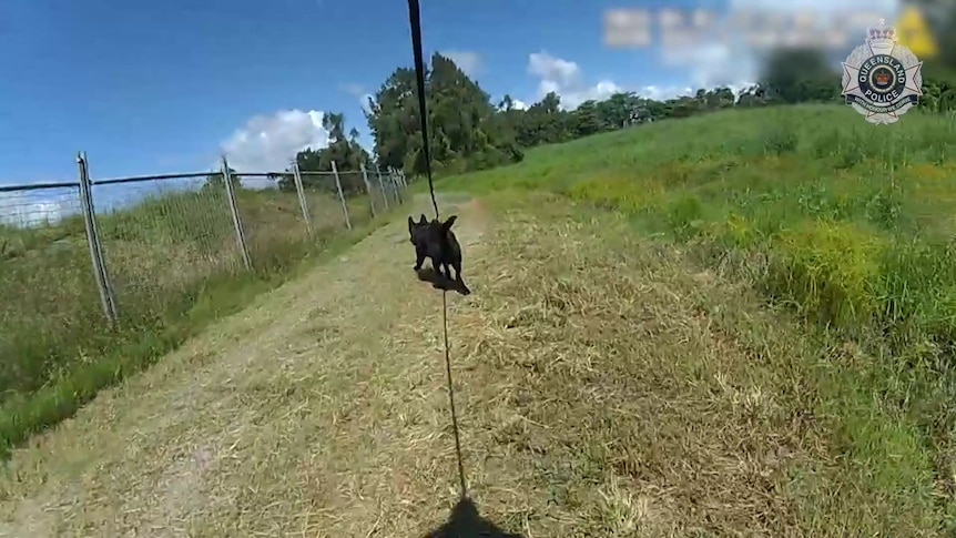 Five teens arrested over spate of Brisbane, Gold Coast home invasions