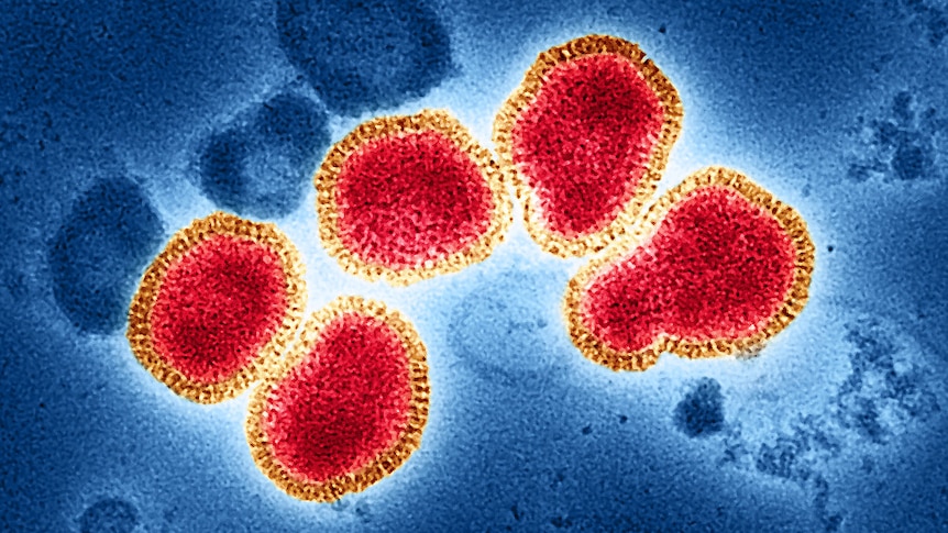 Flu numbers are down for now – this could be why