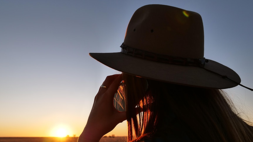 Government urged to 'bite the bullet' and mandate mobile phone roaming