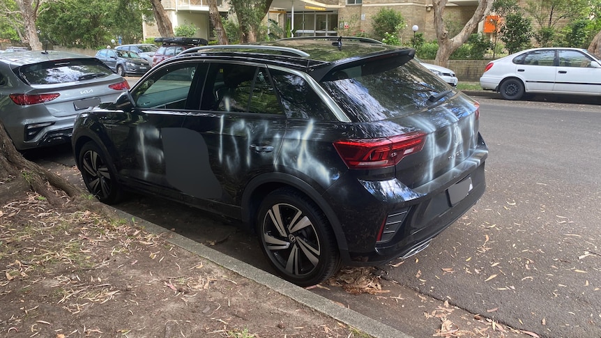 Graffiti 'wrongly' labelled antisemitic in Sydney spree, judge finds