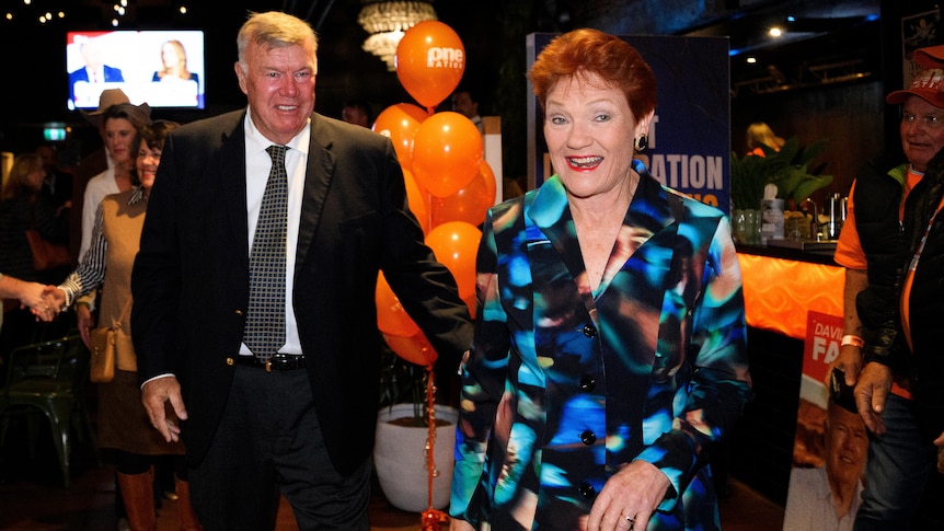 Hanson intervenes after MP says migration plan 'not too different' to Labor