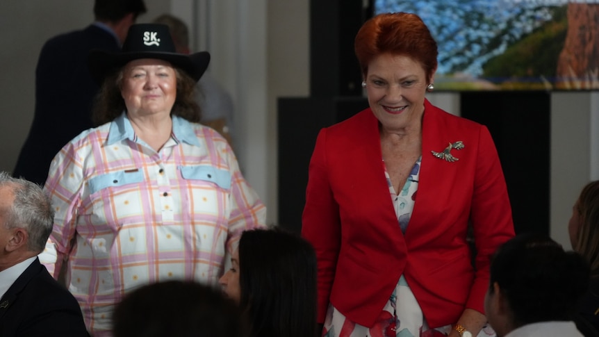 Hanson reveals who paid for Italy trip with Gina Rinehart