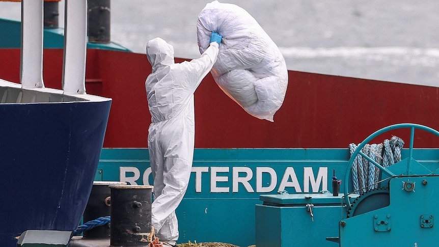 Hantavirus-hit cruise ship docks for disinfection