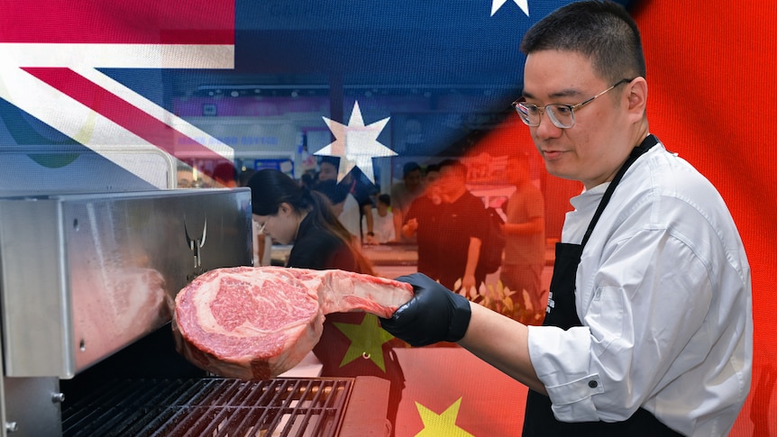 Hot spot for Australian bull semen as China market re-opens