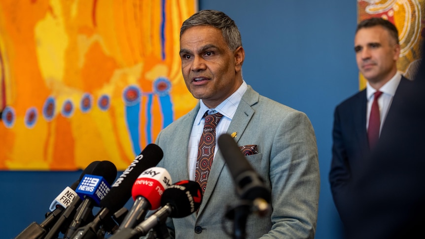 Indigenous commissioner condemns comedian's 'deeply offensive' video