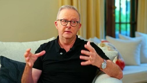 Japan responds to Albanese's 'melon' gesture, playing down concerns