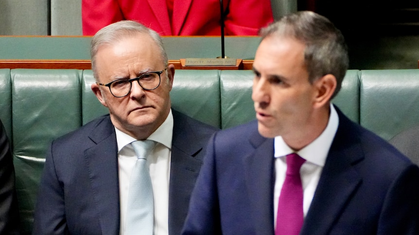 Labor's CGT plan flawed but better than what we have, economists tell inquiry