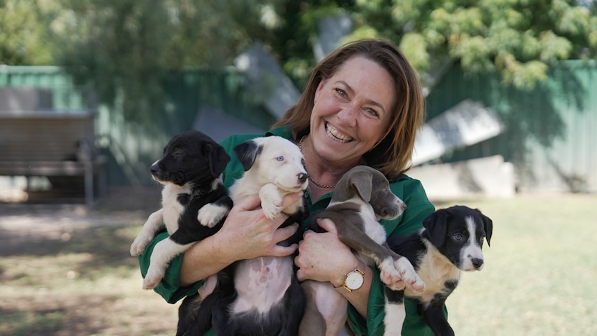 Live: Muster Dogs takes out Best Structured Reality Program at 2026 Logie Awards