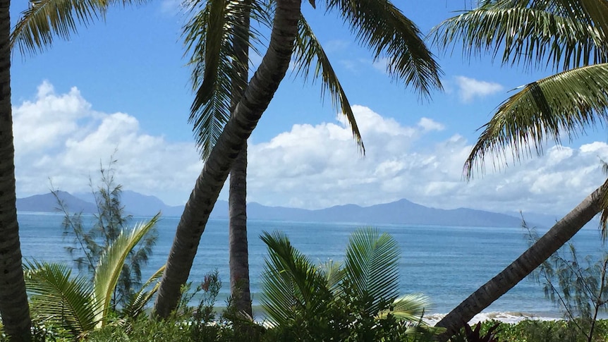 Man dies after shark attack in Far North Queensland