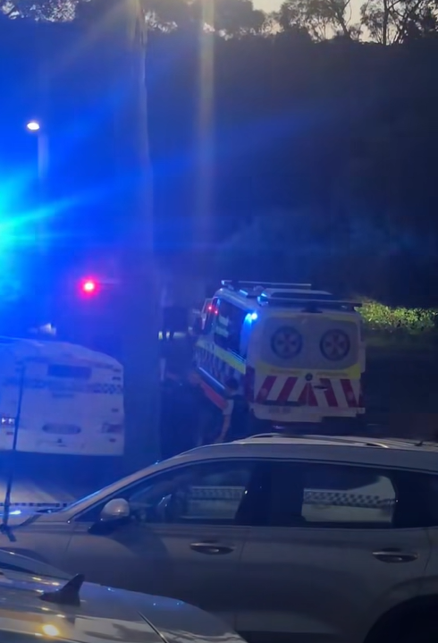 Man dies after stabbing in Sydney's west