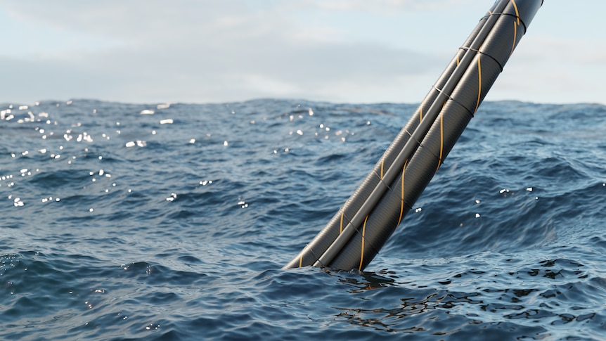 Marinus will break energy 'deadlock' hobbling Tasmania, economist says