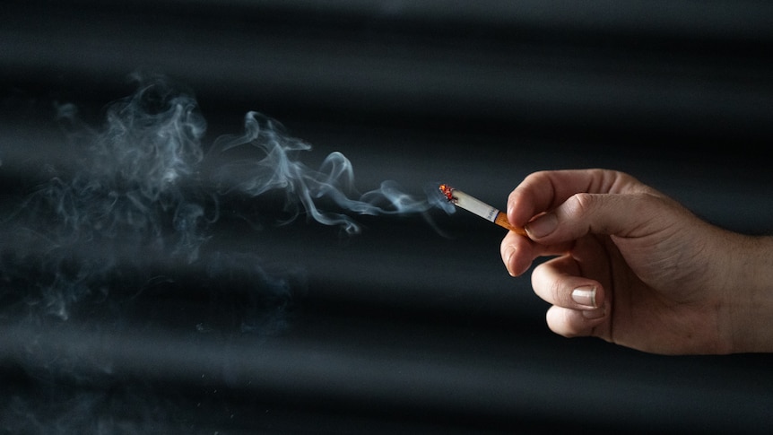 Melbourne, Sydney most expensive in world for beer and cigarettes, study finds