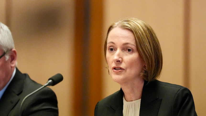 No guarantee outages won't happen again, Telstra CEO says