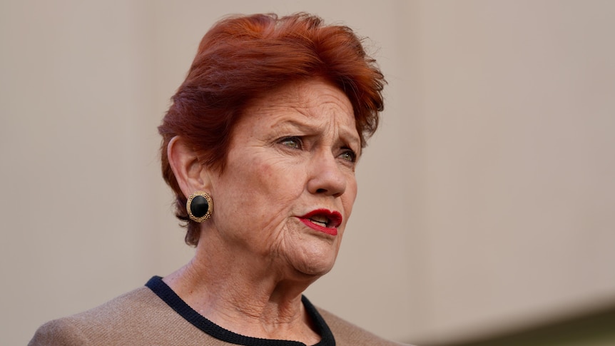 One Nation's early access super scheme panned as inflationary