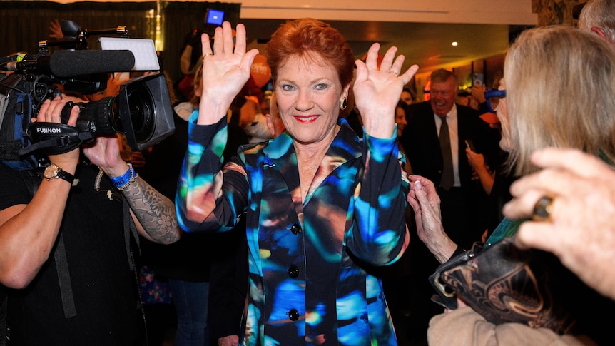 Pauline Hanson lashes 'arrogant' critics who say One Nation can't go mainstream