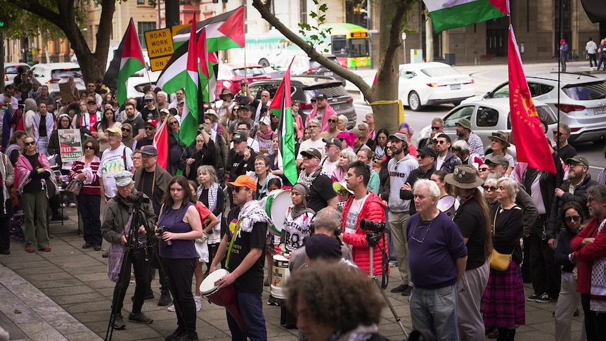 Protesters march at Nakba Day rallies around Australia