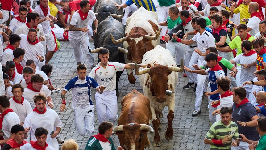Runner gored at Spain's San Fermin bull run festival