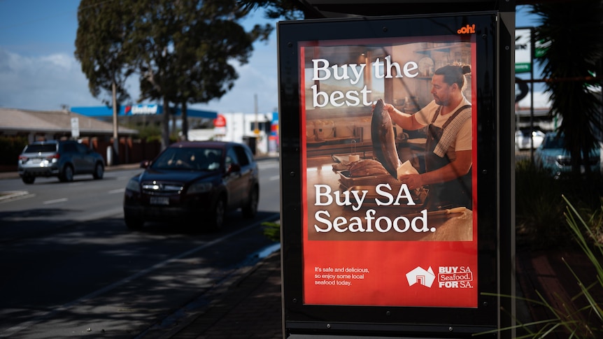 SA government advertising spend hits record levels
