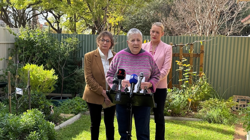 SA government's promotion of Origin's concession scheme under attack