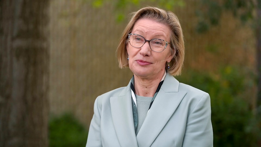 'She needs to go': Calls for Margot McNeill to resign from CIT