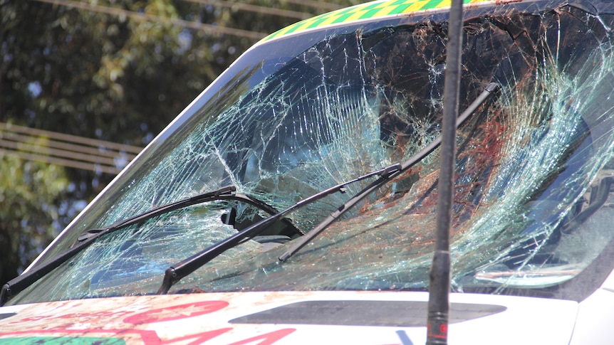 Suspended sentence, $100 fine for man's naked attack on country ambulance