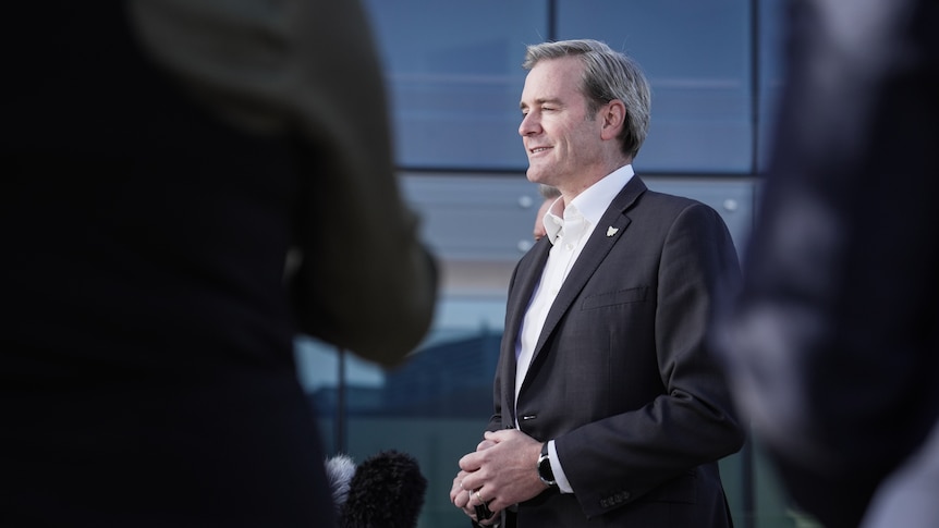 Tasmanian MP thankful to survive after crash with cow on highway