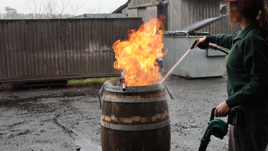 The barrel-makers at the heart of Tasmania's whisky industry
