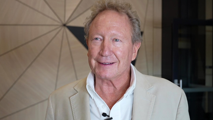 US court rules against Meta in Andrew Forrest scam ads case