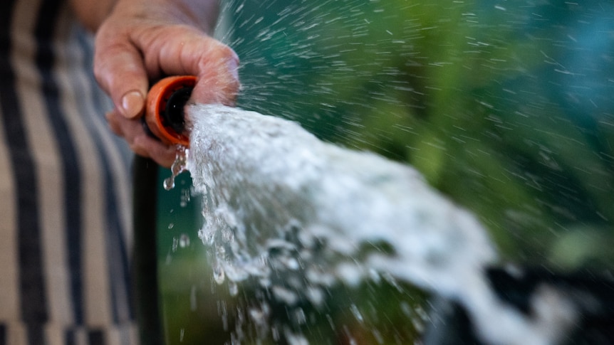 Water and sewage bill increases on the way for Tasmanians