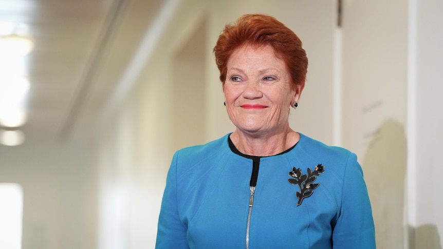 Young Australians reject budget as One Nation popularity climbs further